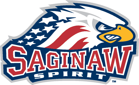 Saginaw Spirit 2002 03-Pres Primary Logo vinyl decal